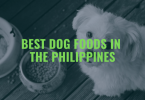 Best Whitening Lotion Philippines