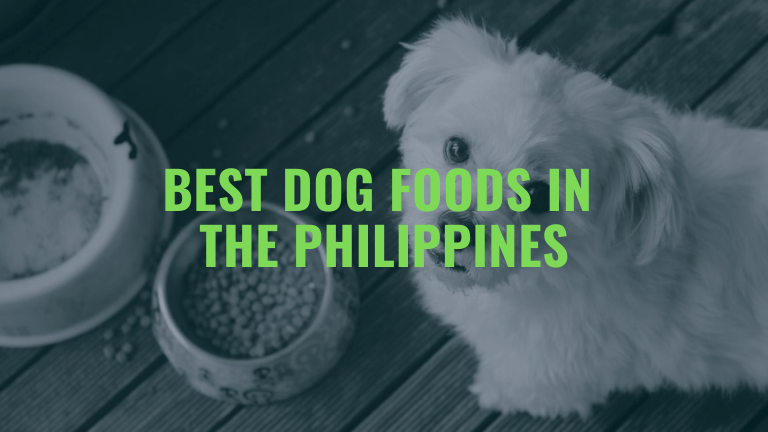 best dog foods in the philippines