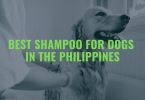 best dog shampoo philippines